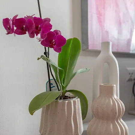 Appartamento Apartma Rozeta